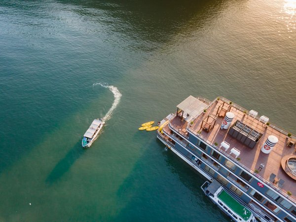 L'Art de la Sommellerie : Les Maîtres de la Dégustation et de l'Expérience Sensorielle du Vin